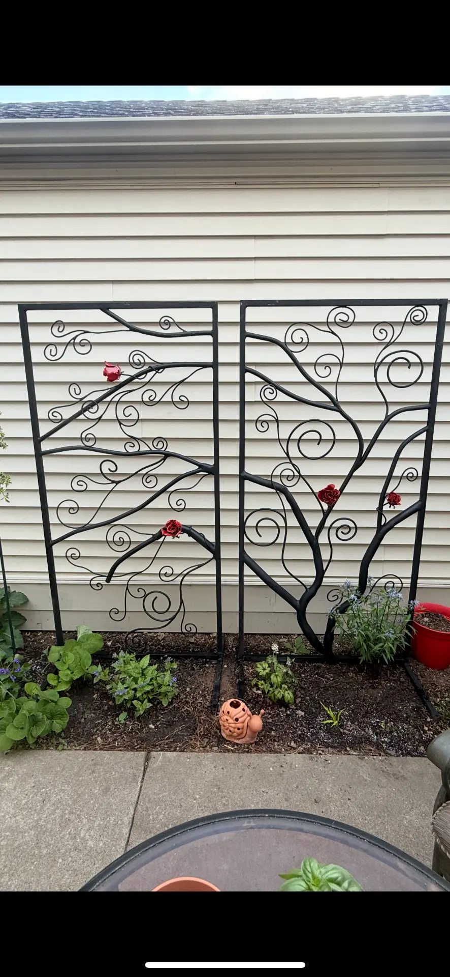 Two black wrought iron garden gate panels with branching designs, curling tendrils, and red enameled roses, set in a garden bed