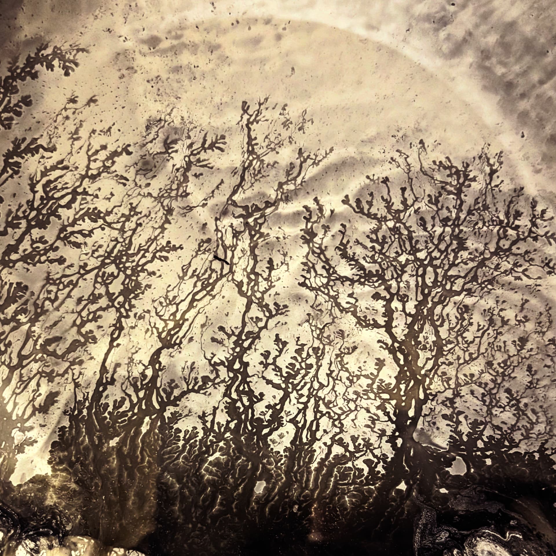 Abstract sepia-toned metal panel where dark patina has spread into shapes resembling a treeline against a pale sky